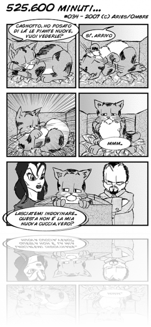 034