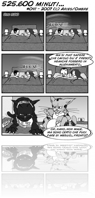 041