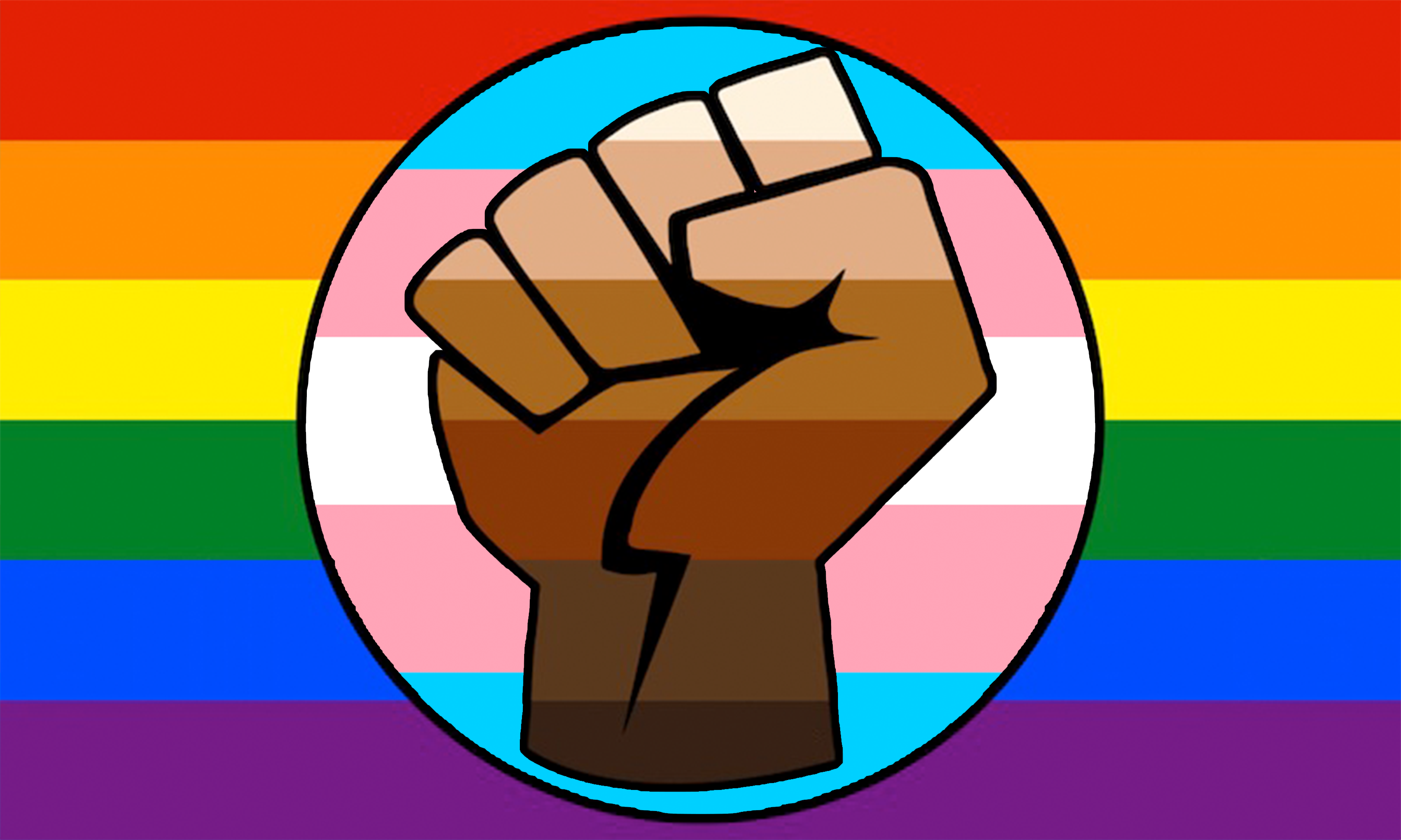 LGBT Gay Trans Pride BLM Fist Flag